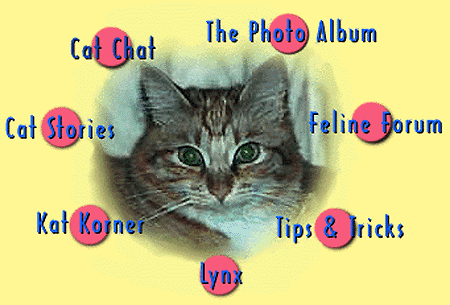 image map